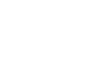 Apple Pay Icon